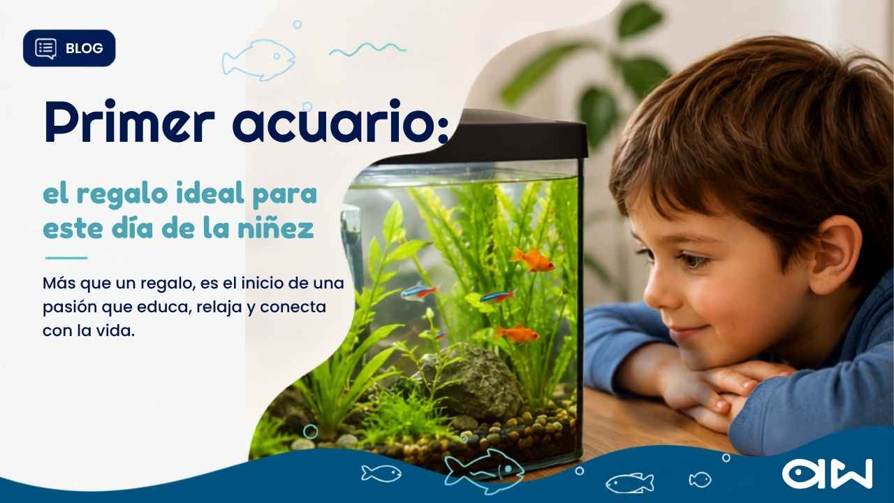 Primer Acuario: el regalo ideal para este Día de la Niñez